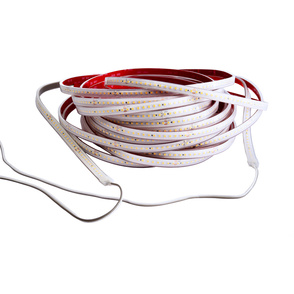 LED Stripes ab IP44 bei Elektrotechnik Nirschl Daniel GmbH in Lalling